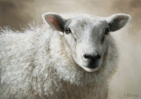 Sheep - Beting.nl